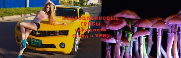 не бодяженный Алзамай